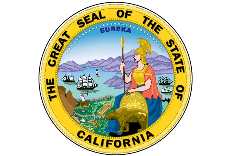 California Court Filing & Process Serving | On-Demand Litigation Support